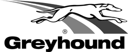 GreyHound GreyHound